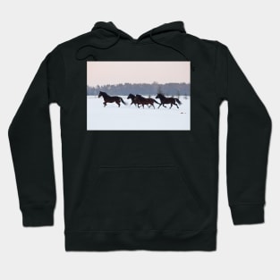 Four horses galloping on snowy paddock Hoodie